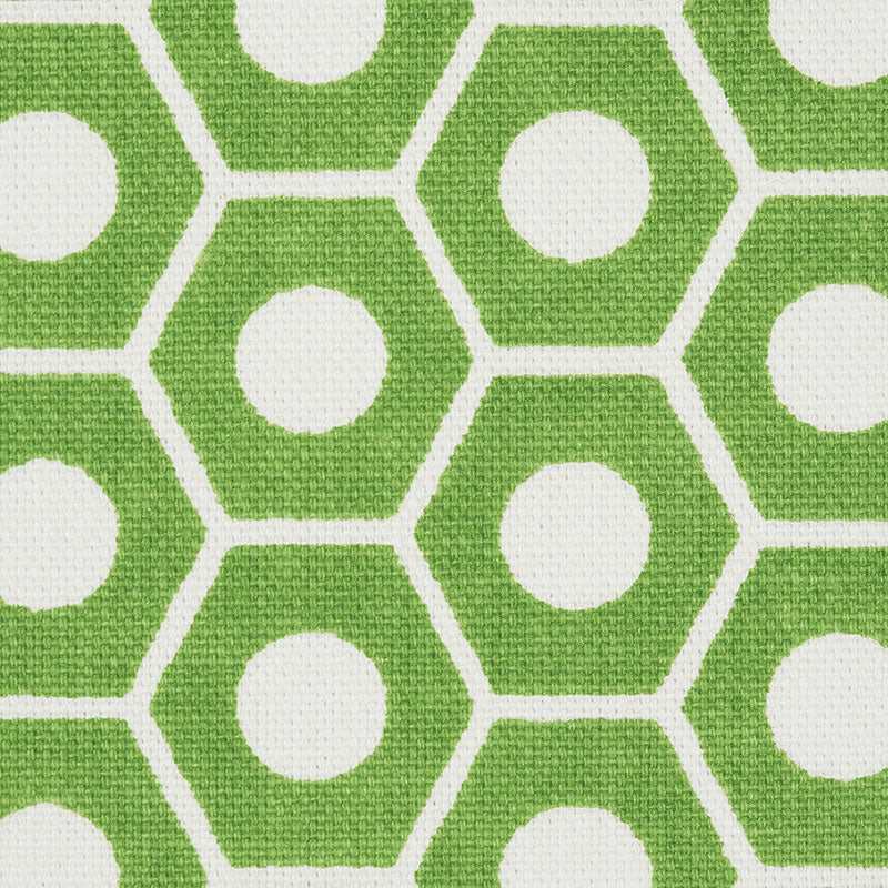 SCHUMACHER  STUDIO BON QUEEN B   Green   - 177075