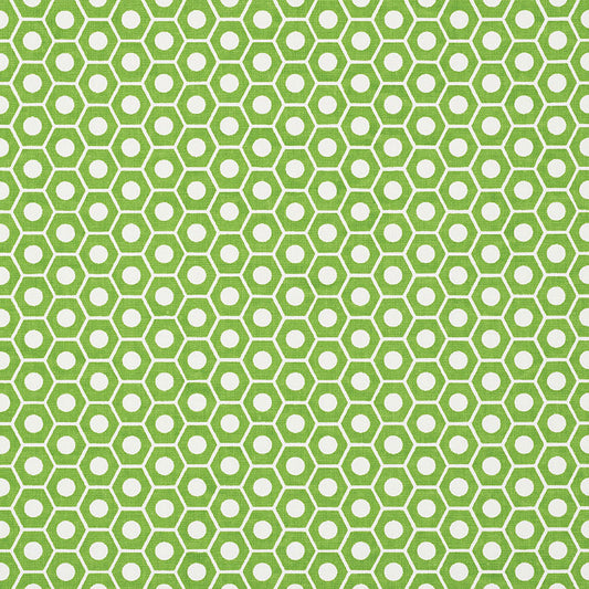 SCHUMACHER  STUDIO BON QUEEN B   Green   - 177075