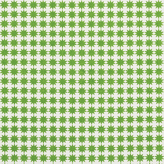 SCHUMACHER  STUDIO BON STELLA PRINTS PRINTS GREEN   - 177082