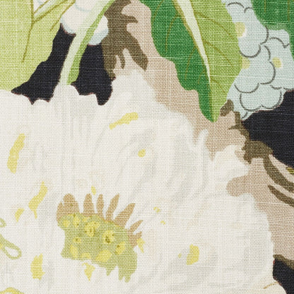 SCHUMACHER  SCHUMACHER CLASSICS ENCHANTED GARDEN PRINTS PRINTS BLACK   - 177391