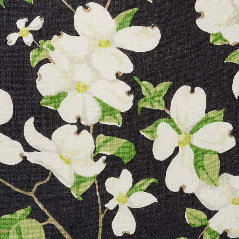 SCHUMACHER  SCHUMACHER CLASSICS BLOOMING BRANCH   Black   - 177412