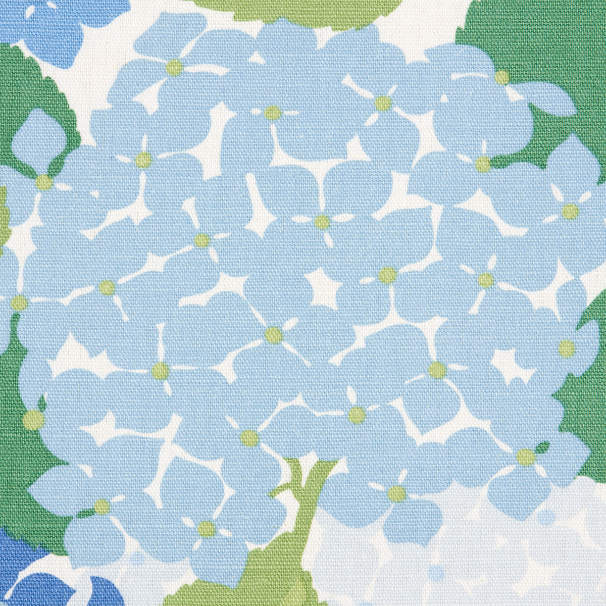 Light blue hydrangea floral print with green leaves on a textured porcelain surface.
