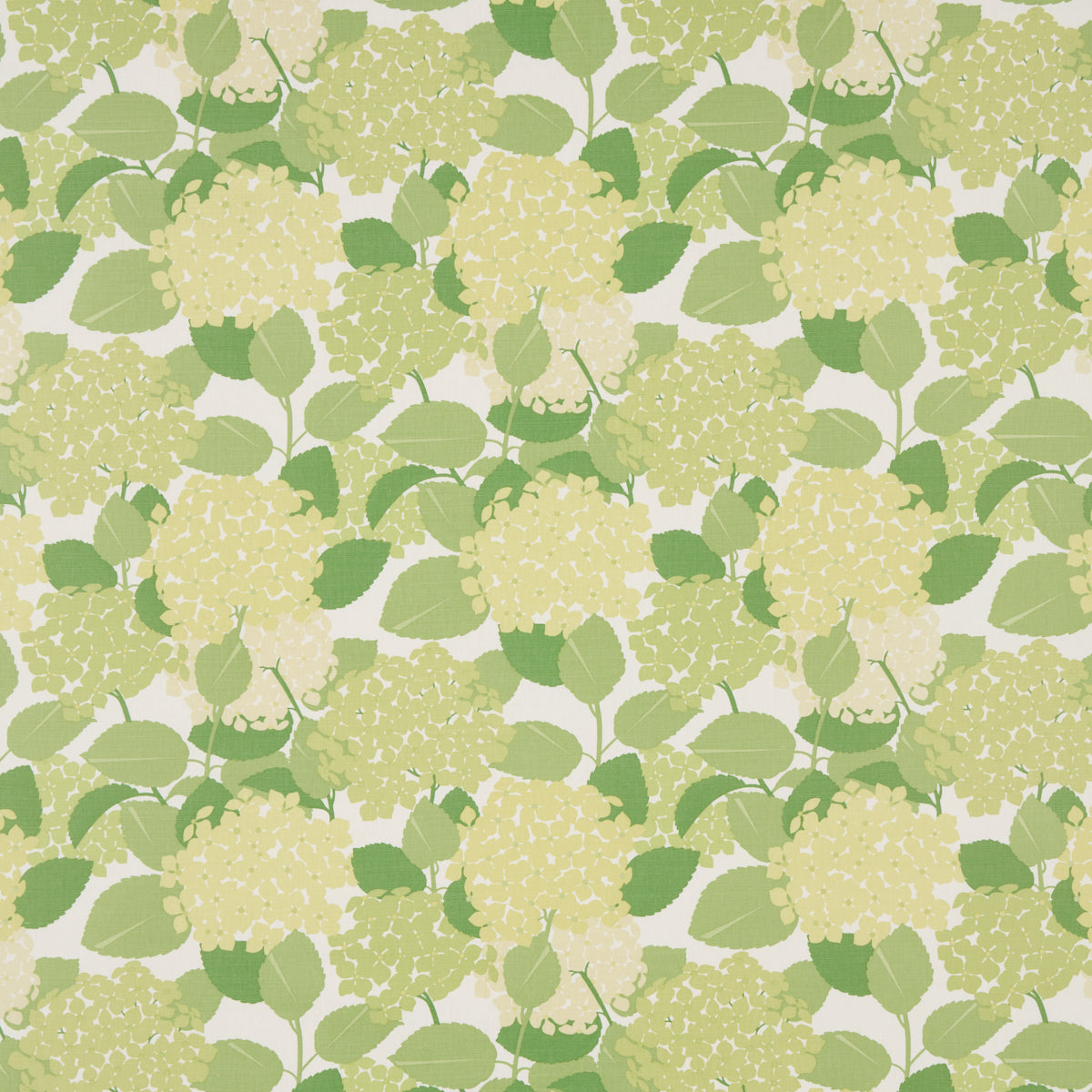 Seamless hydrangea pattern with pale yellow-green blossoms and light green leaves.