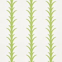 SCHUMACHER  CELERIE KEMBLE ACANTHUS STRIPE   Leaf   - 177631