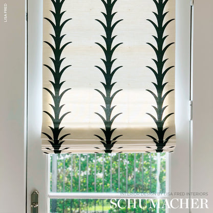 SCHUMACHER  CELERIE KEMBLE ACANTHUS STRIPE   Carbon   - 177632
