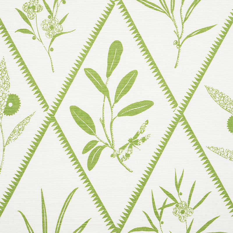 SCHUMACHER  CHARLAP HYMAN & HERRERO ENDIMIONE   Leaf   - 177641