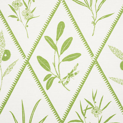SCHUMACHER  CHARLAP HYMAN & HERRERO ENDIMIONE   Leaf   - 177641