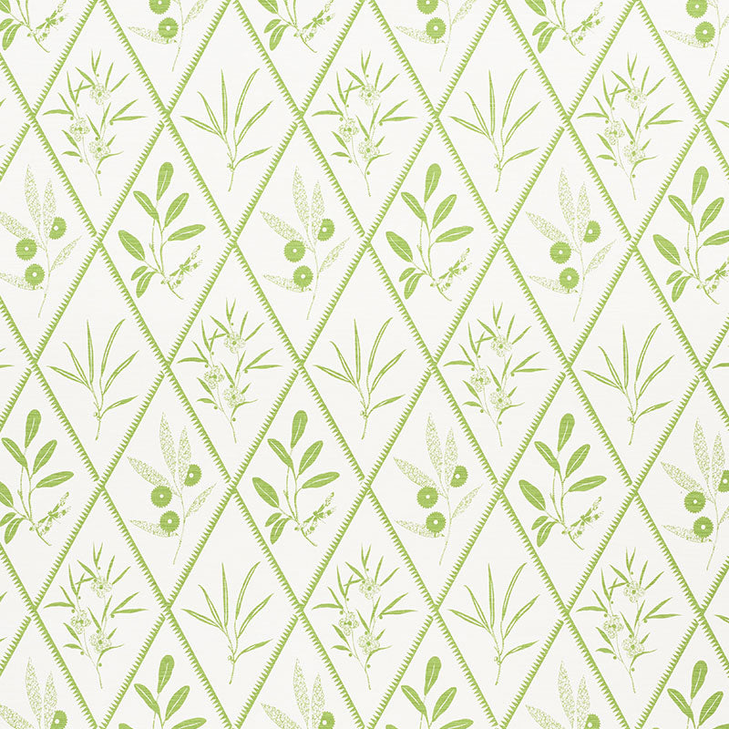 SCHUMACHER  CHARLAP HYMAN & HERRERO ENDIMIONE   Leaf   - 177641