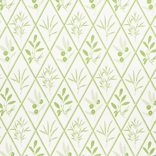 SCHUMACHER  CHARLAP HYMAN & HERRERO ENDIMIONE   Leaf   - 177641