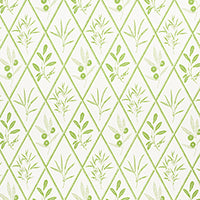 SCHUMACHER  CHARLAP HYMAN & HERRERO ENDIMIONE   Leaf   - 177641