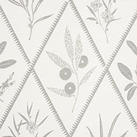 SCHUMACHER  CHARLAP HYMAN & HERRERO ENDIMIONE   Grey   - 177642