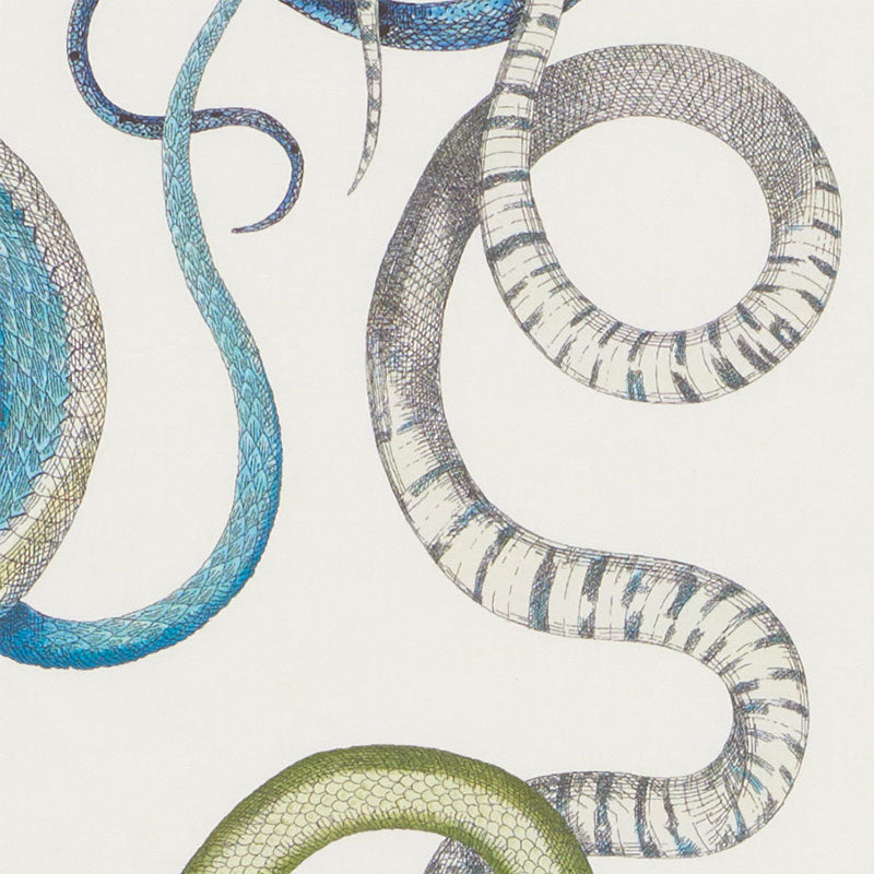 SCHUMACHER  CHARLAP HYMAN & HERRERO GIOVE PRINTS PRINTS EMERALD , SAPPHIRE   - 177660