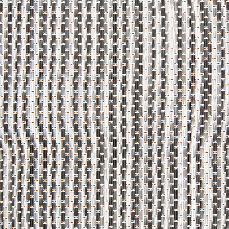 SCHUMACHER  EASY ELEMENTS DOTTED STRIPE   Carbon   - 177710