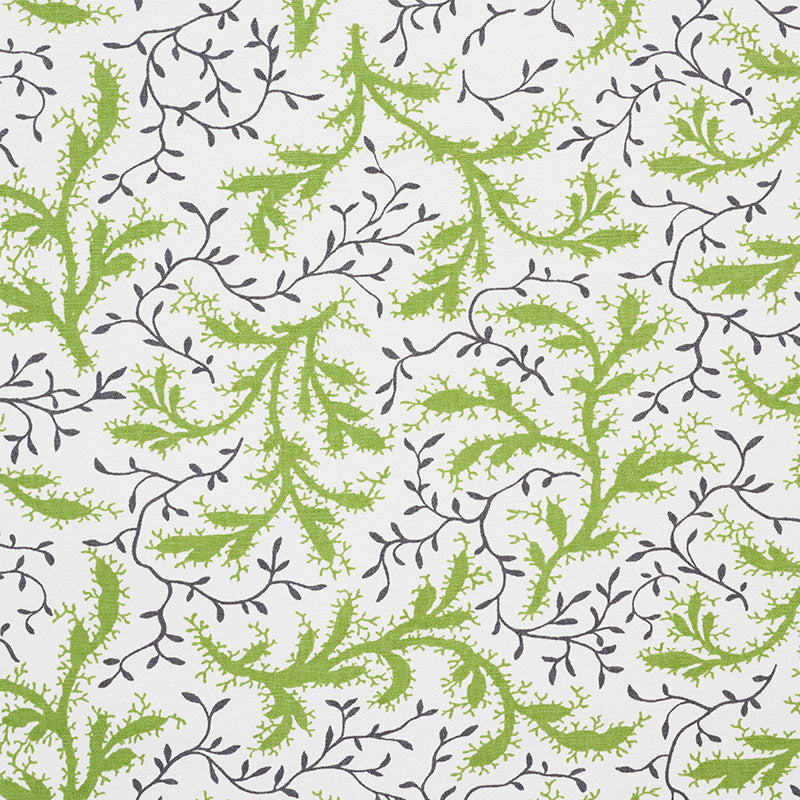 SCHUMACHER  CELERIE KEMBLE SPRIG   Moss   - 177831