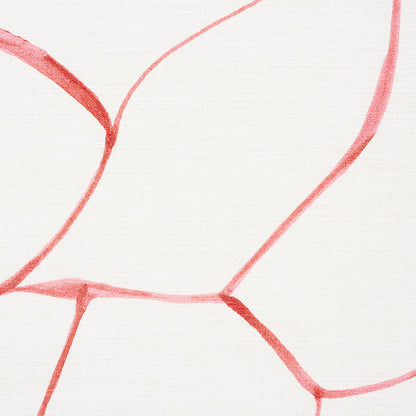 SCHUMACHER  PORTER TELEO FILIGREE   Coral   - 177921