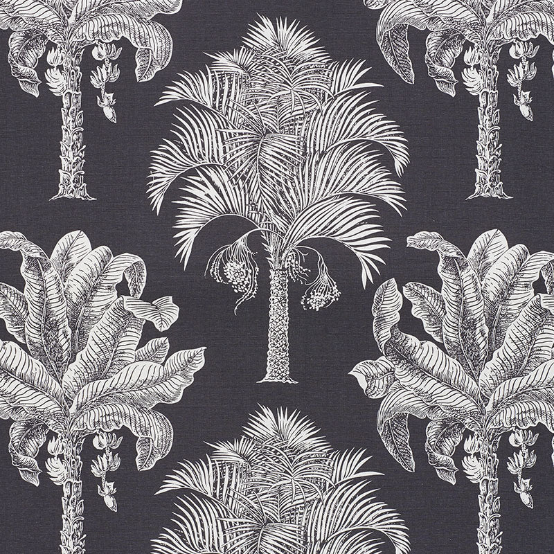 SCHUMACHER  NEW TRADITIONAL GRAND PALMS   Carbon   - 178003