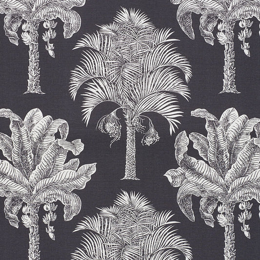 SCHUMACHER  NEW TRADITIONAL GRAND PALMS   Carbon   - 178003