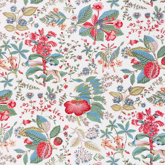 SCHUMACHER  SCHUMACHER CLASSICS POMEGRANATE BOTANICAL PRINTS PRINTS DOCUMENT   - 178121