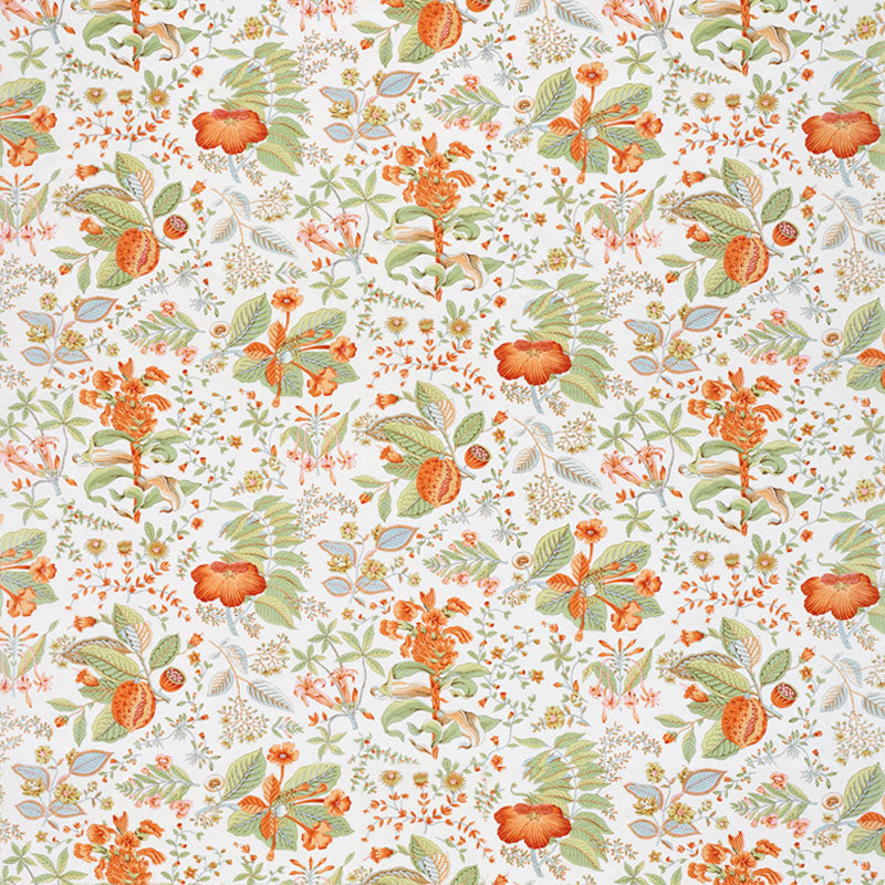 SCHUMACHER  SCHUMACHER CLASSICS POMEGRANATE BOTANICAL PRINTS PRINTS ORANGE   - 178122