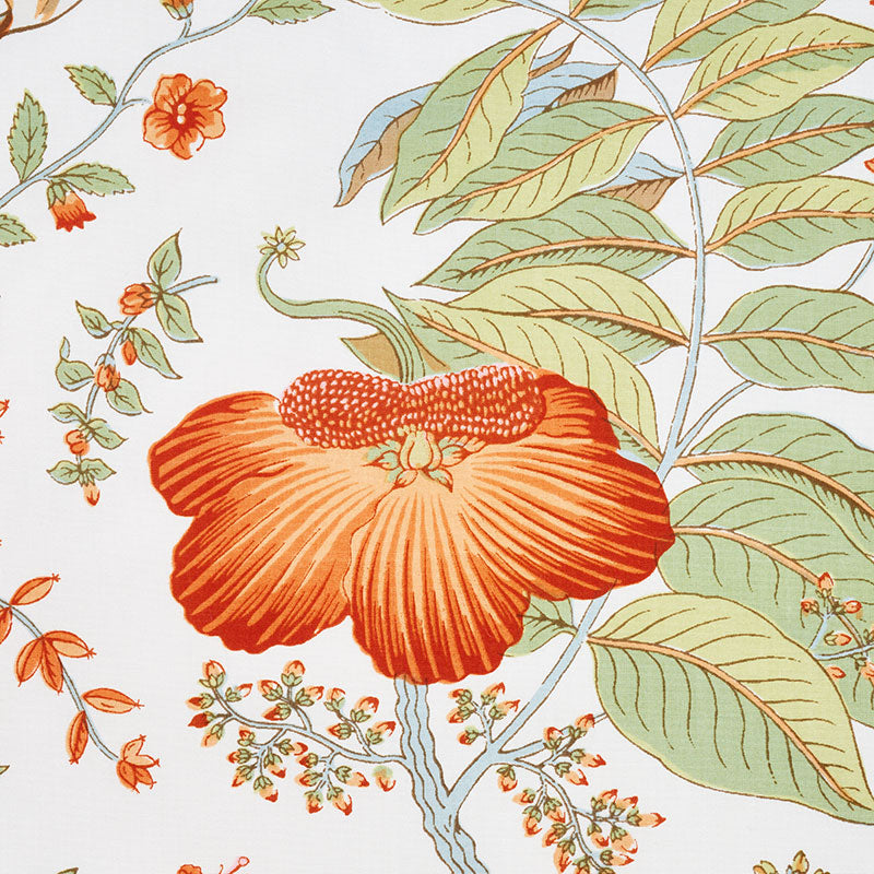 SCHUMACHER  SCHUMACHER CLASSICS POMEGRANATE BOTANICAL PRINTS PRINTS ORANGE   - 178122