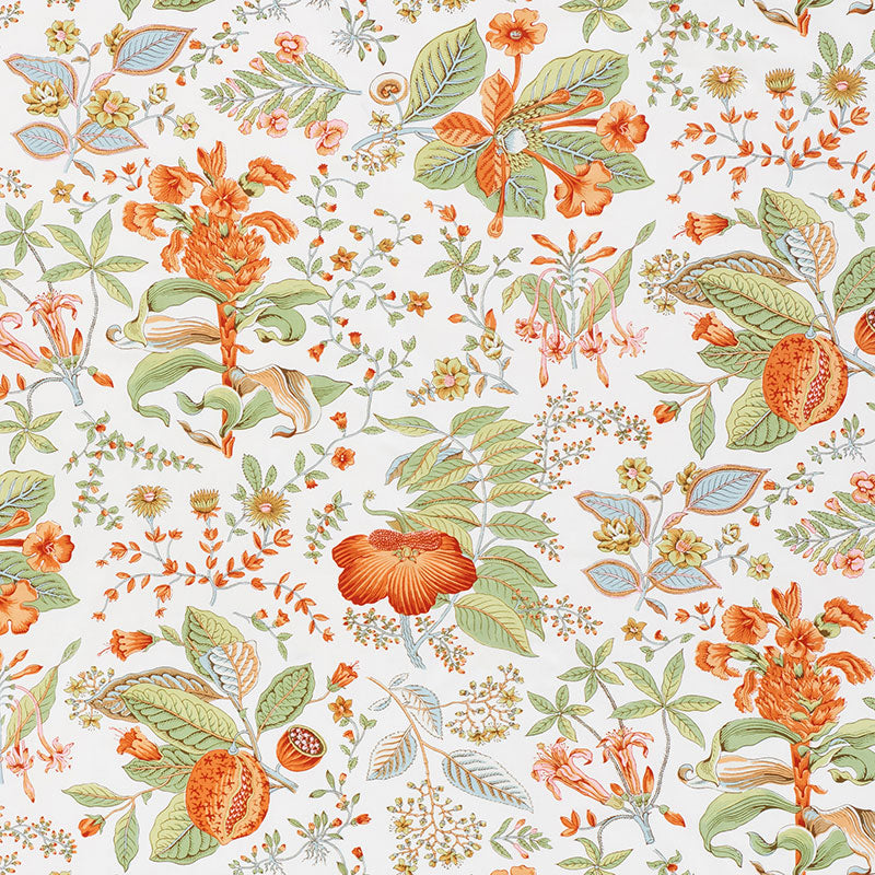 SCHUMACHER  SCHUMACHER CLASSICS POMEGRANATE BOTANICAL PRINTS PRINTS ORANGE   - 178122