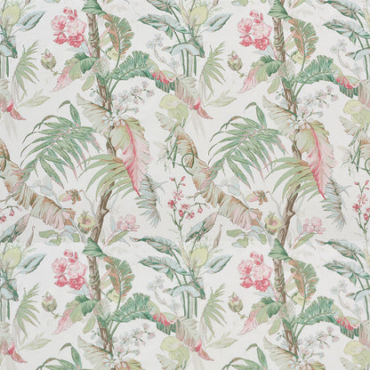 SCHUMACHER  SCHUMACHER CLASSICS TROPIQUE PRINTS PRINTS BLUSH   - 178130
