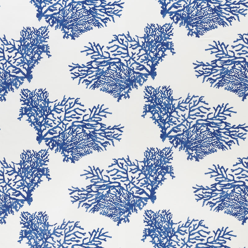 Blue coral reef pattern with intricate branching motifs, repeating across a light background.