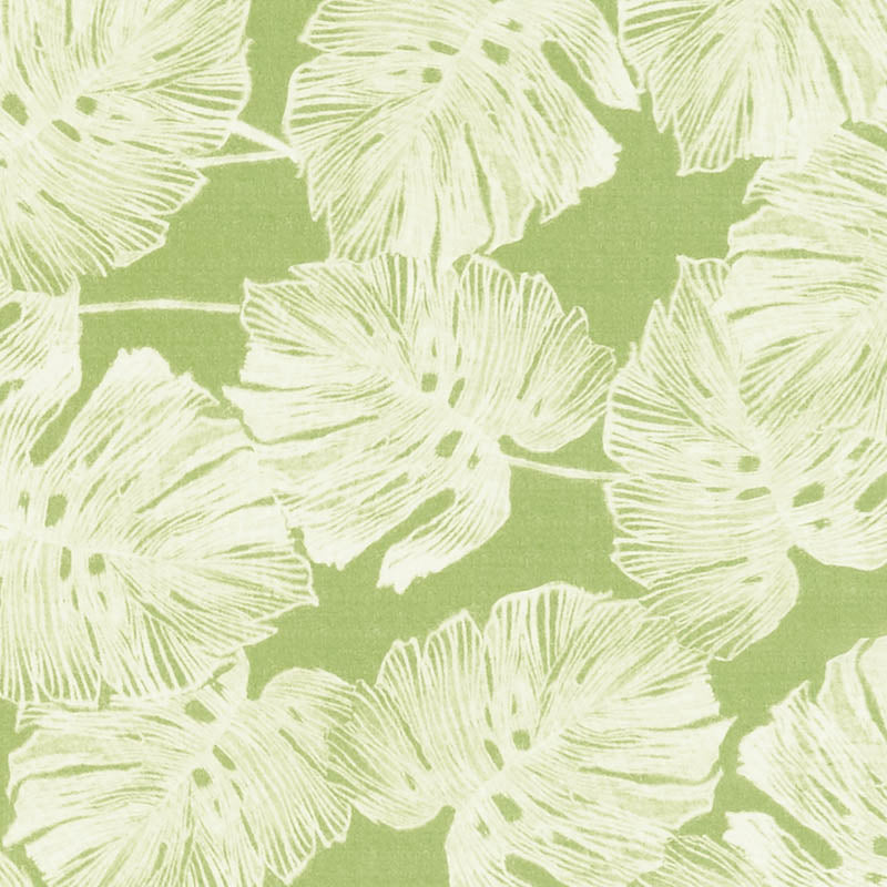 Olive green background with large pale cream palm leaves; tropical leaf pattern on sheer window curtains.