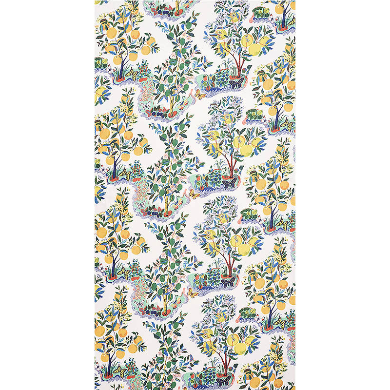 SCHUMACHER FABRIC  PATTERNED SHEERS & CASEMENTS CITRUS GARDEN SHEER   PRIMARY   - 178350