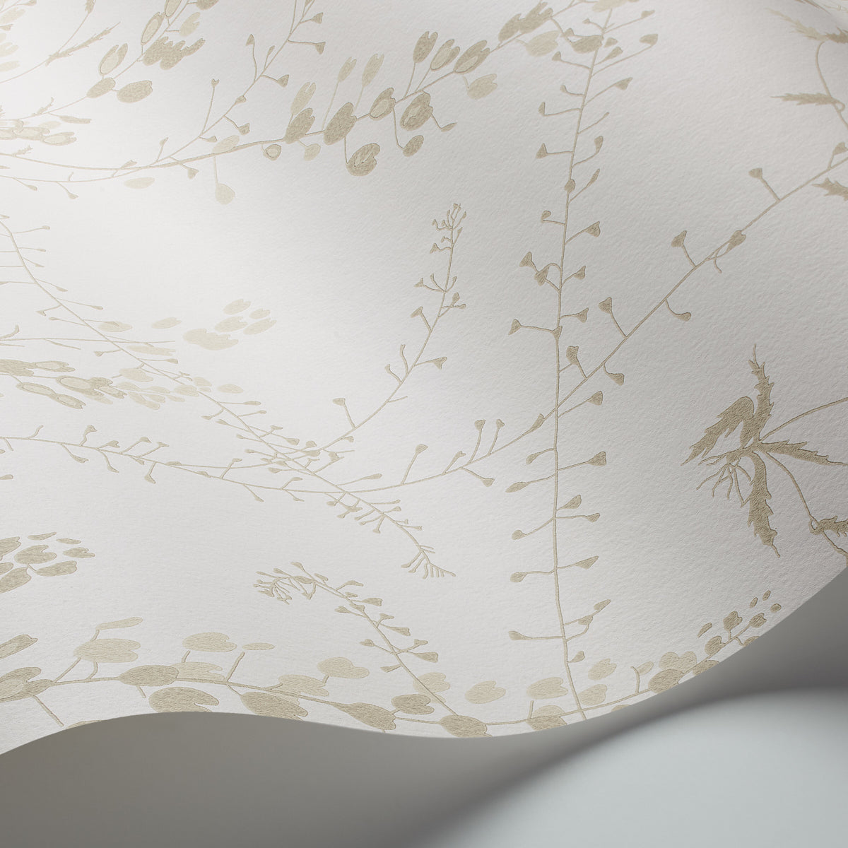 Cream wallpaper with delicate beige botanical vines and small leaves; curved roll edge visible.