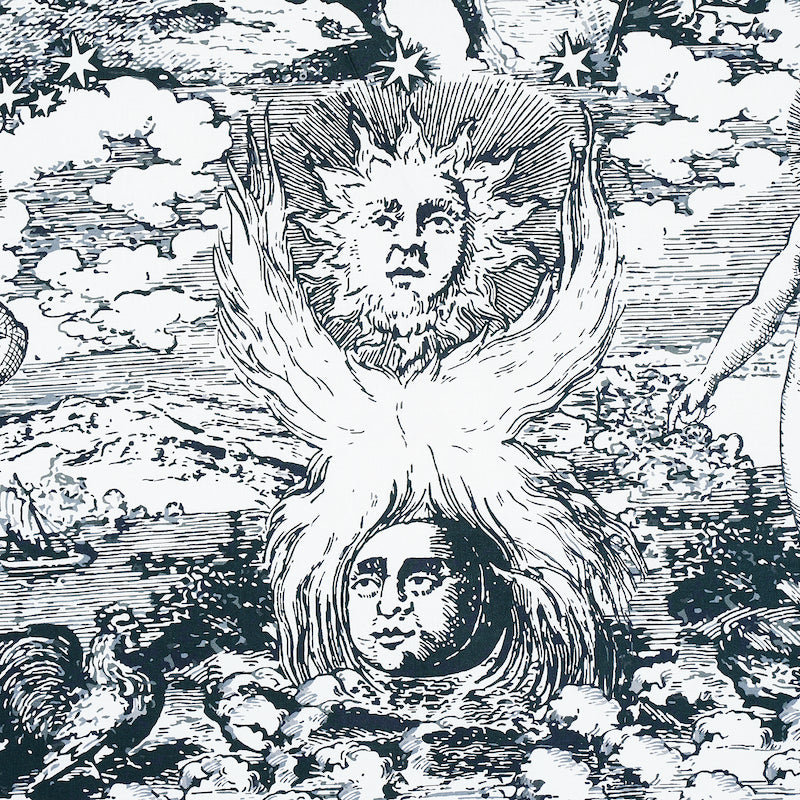 SCHUMACHER  JOHNSON HARTIG MODERN TOILE PRINTS PRINTS BLACK   - 178621