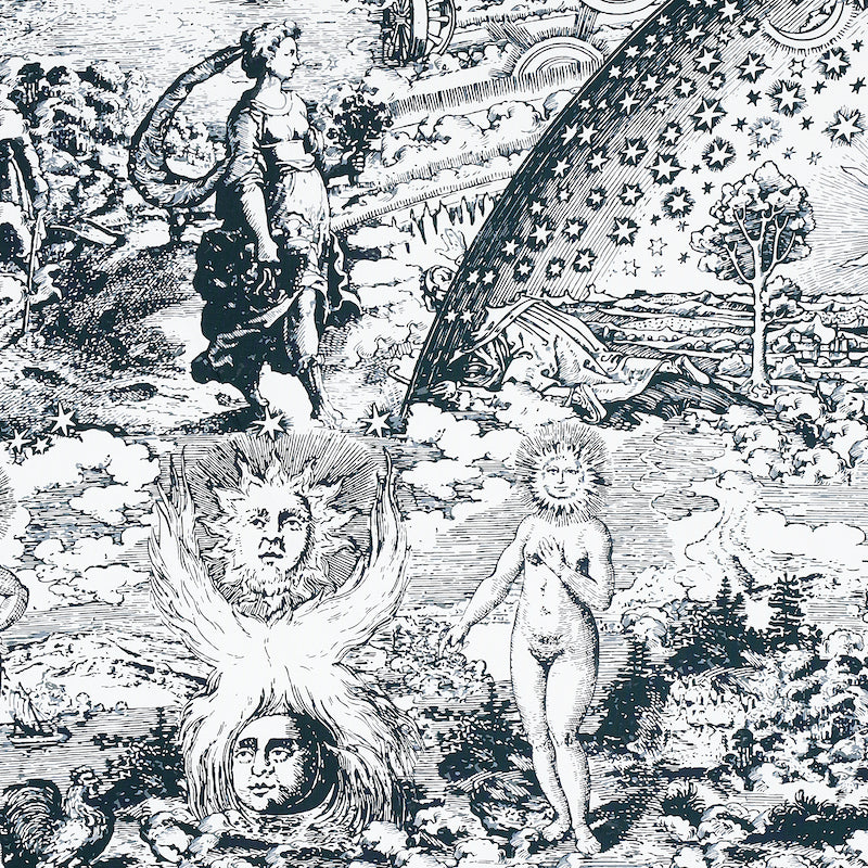 SCHUMACHER  JOHNSON HARTIG MODERN TOILE PRINTS PRINTS BLACK   - 178621