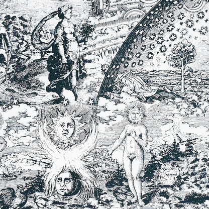 SCHUMACHER  JOHNSON HARTIG MODERN TOILE PRINTS PRINTS BLACK   - 178621