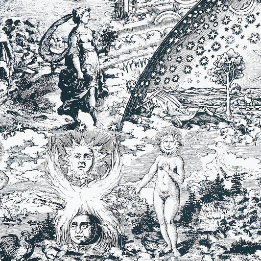 SCHUMACHER  JOHNSON HARTIG MODERN TOILE PRINTS PRINTS BLACK   - 178621