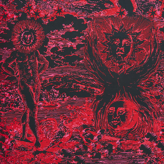 SCHUMACHER  JOHNSON HARTIG MODERN TOILE PRINTS PRINTS PINK , BLACK   - 178623