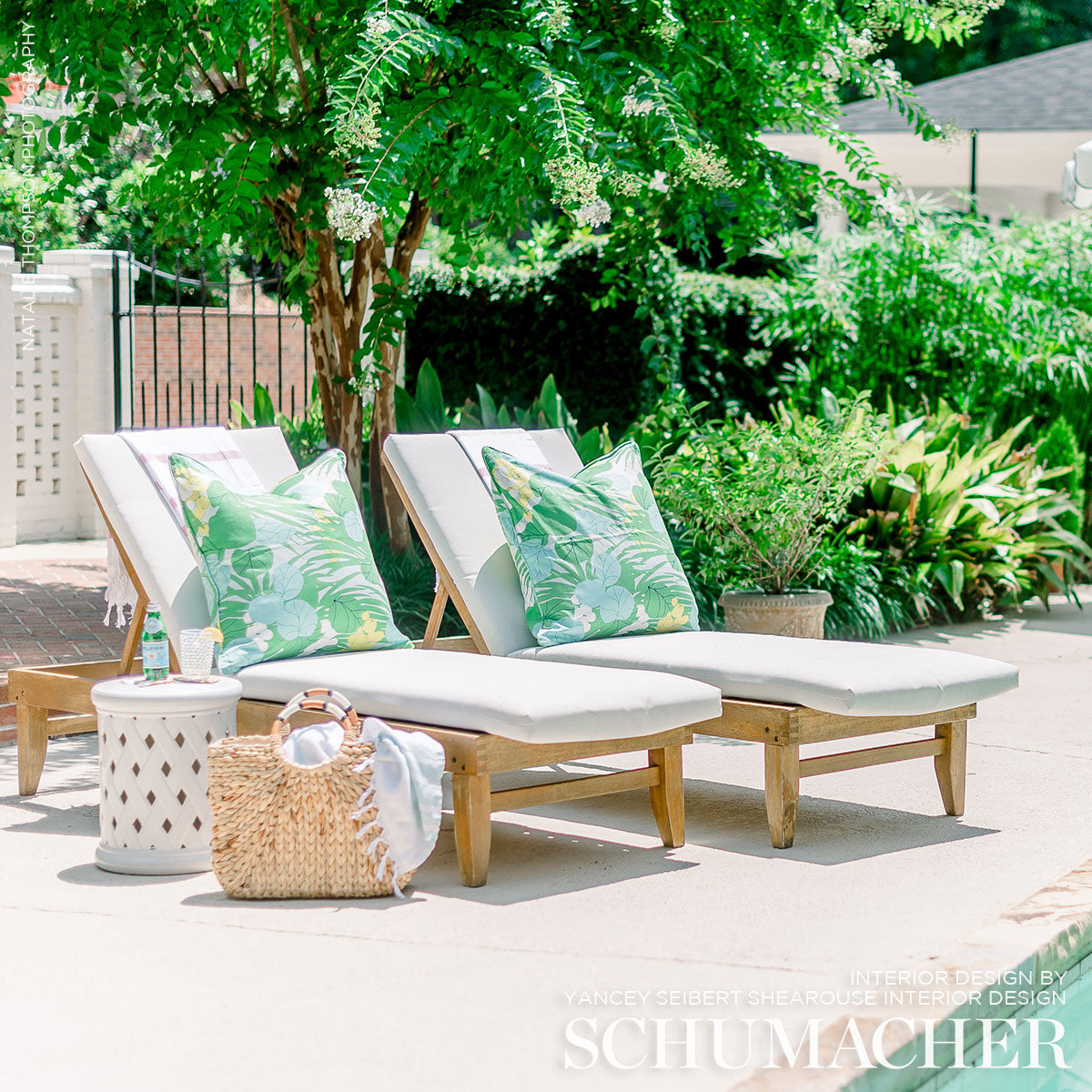 SCHUMACHER  TROPICANA SEA GRAPES PRINTS PRINTS PALM   - 178630