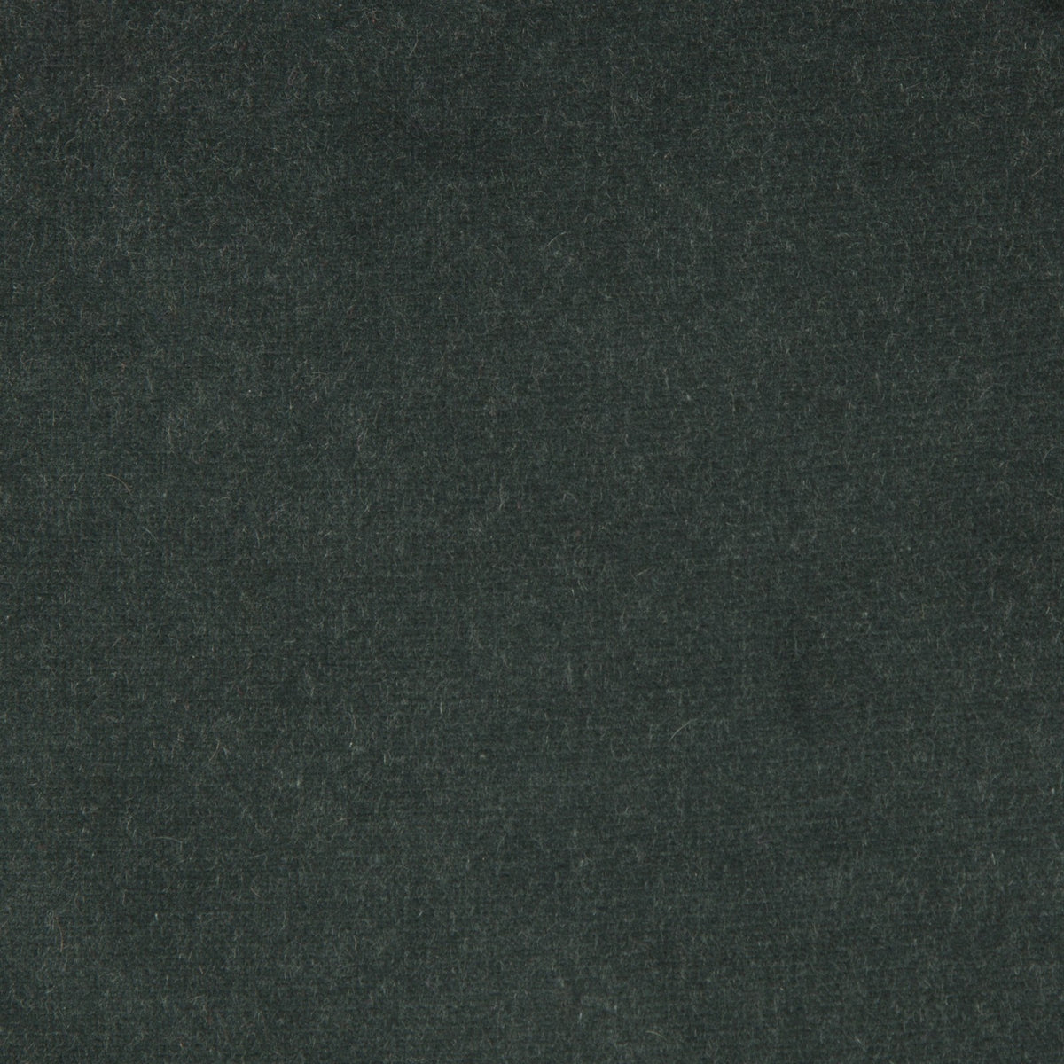 Outlet Versailles Kravet Solid velvet upholstery Gray   - uan-438-3d
