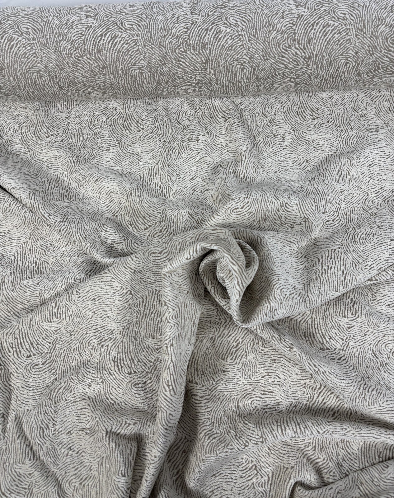 Outlet Levante Clarke & Clarke Textured velvet / multipurpose  Ivory   - 3d-fyxzogz1h82t6dgmos5fgkln2lgny