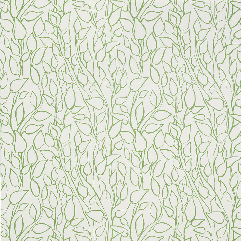 SCHUMACHER  FREEHAND SOLANDRA VINE PRINTS PRINTS LEAF   - 178701