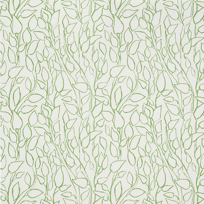 SCHUMACHER  FREEHAND SOLANDRA VINE PRINTS PRINTS LEAF   - 178701