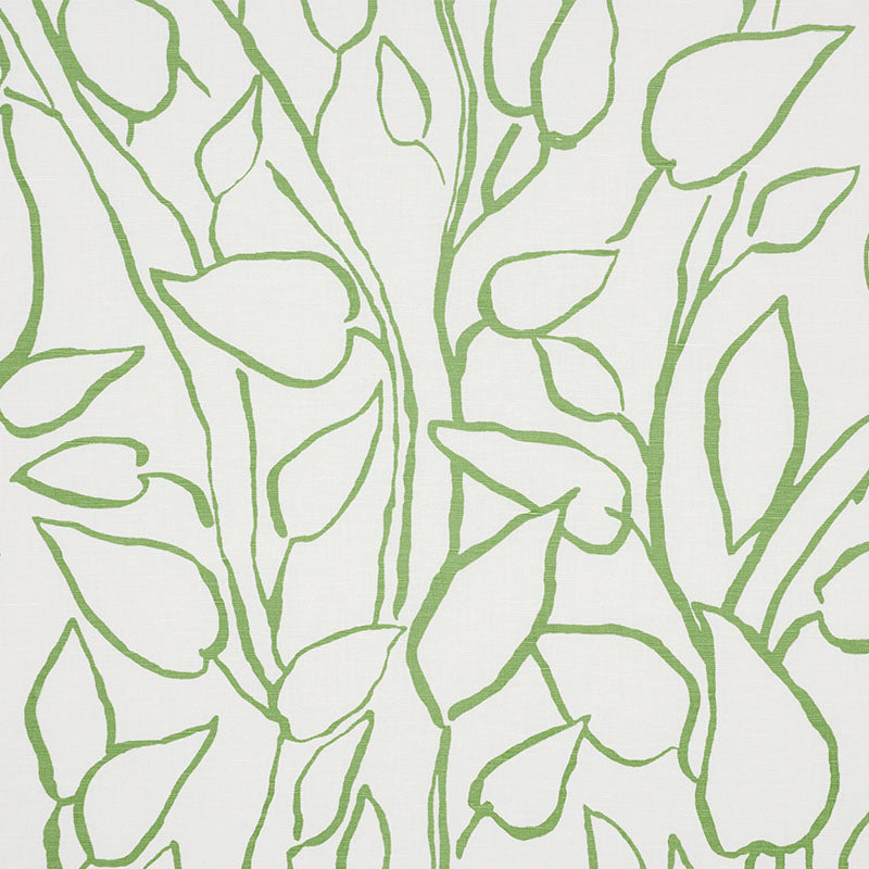 SCHUMACHER  FREEHAND SOLANDRA VINE PRINTS PRINTS LEAF   - 178701