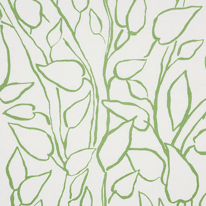 SCHUMACHER  FREEHAND SOLANDRA VINE PRINTS PRINTS LEAF   - 178701