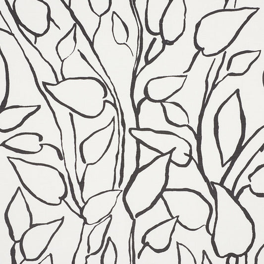 SCHUMACHER  FREEHAND SOLANDRA VINE PRINTS PRINTS BLACK   - 178702