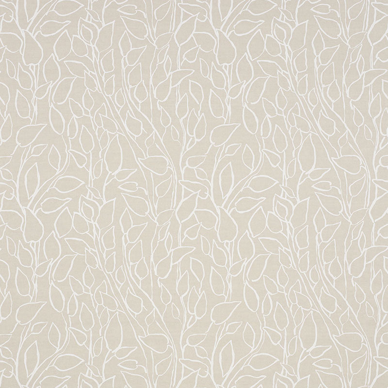 SCHUMACHER  FREEHAND SOLANDRA VINE PRINTS PRINTS NATURAL   - 178703