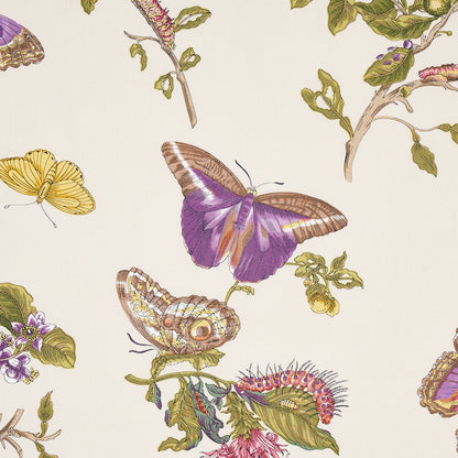 SCHUMACHER  SCHUMACHER CLASSICS BAUDIN BUTTERFLY CHINTZ PRINTS PRINTS PURPLE   - 178722