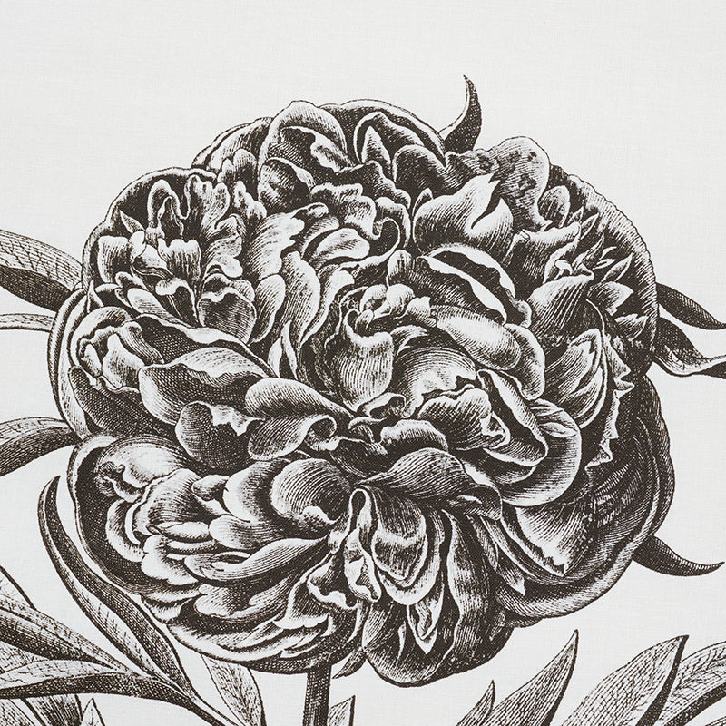 SCHUMACHER  SCHUMACHER CLASSICS CABOT BOTANICAL LARGE PRINTS PRINTS IVORY   - 178740