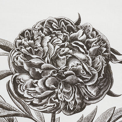 SCHUMACHER  SCHUMACHER CLASSICS CABOT BOTANICAL LARGE PRINTS PRINTS IVORY   - 178740