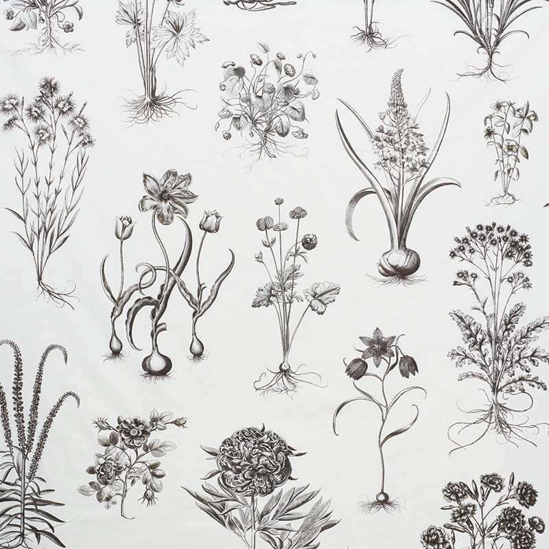 SCHUMACHER  SCHUMACHER CLASSICS CABOT BOTANICAL LARGE PRINTS PRINTS IVORY   - 178740