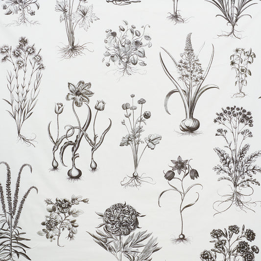 SCHUMACHER  SCHUMACHER CLASSICS CABOT BOTANICAL LARGE PRINTS PRINTS IVORY   - 178740