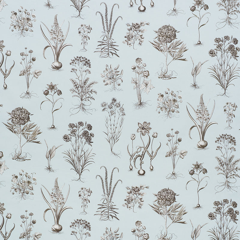 Brown botanical illustrations of assorted flowers and plants on a pale blue background.
